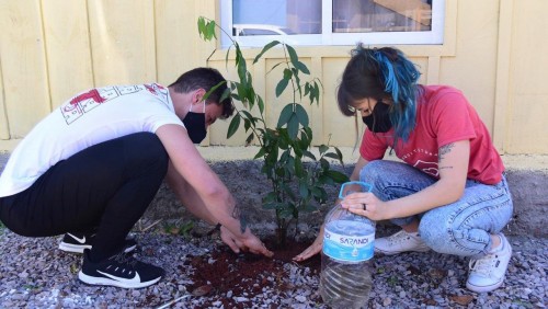 Chiến dịch 40 ngày cầu nguyện theo Laudato si'