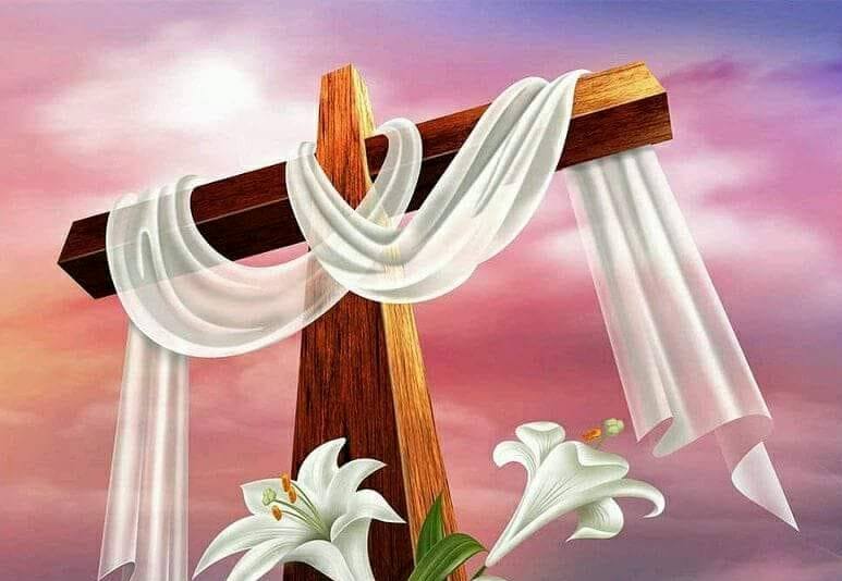 Cáo phó: Ông Phêrô Vũ Đình Phúc (Phó trưởng BĐH Caritas giáo hạt Hòn Gai)