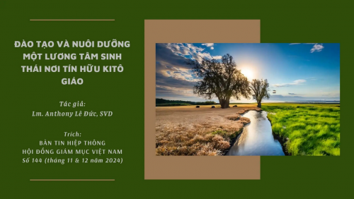 Đào tạo và nuôi dưỡng một lương tâm sinh thái nơi tín hữu Kitô giáo