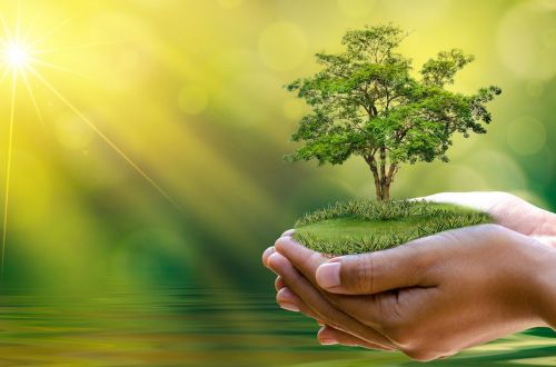 Thư Caritas - Tháng 5/2021: Chiến dịch “Marathon Cầu nguyện” và Tuần lễ Laudato Si’